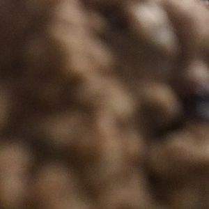 Meet your Posher, Den